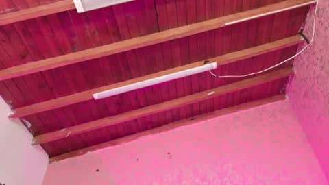 Sofia online show from November 14, 3:05 am