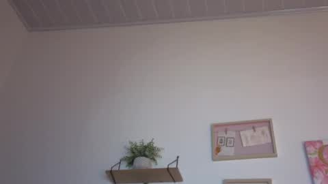     online show from November 15, 3:48 am