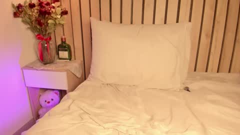 Snapshot of sofiesoft chatting on October 11, 12:32 am Sofie online show from October 11, 12:32 am