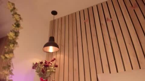 Snapshot of sofiesoft chatting on October 11, 2:48 pm Sofie online show from October 11, 2:48 pm