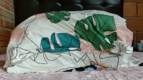 sofi online show from October 22, 9:20 am