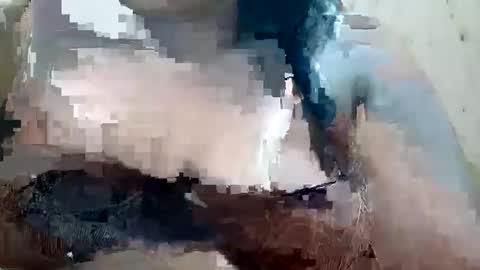 soft_bads online show from October 9, 10:46 am