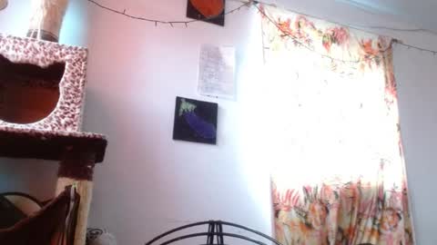 Sofia online show from January 6, 12:09 pm