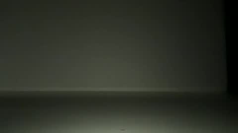 L4 online show from November 12, 7:03 pm