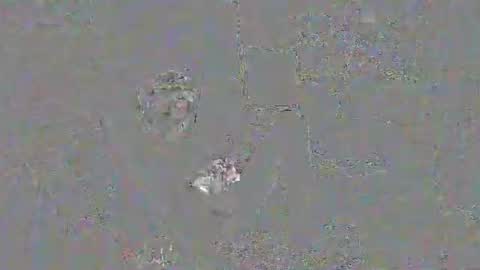 solilay online show from March 29, 2:28 pm