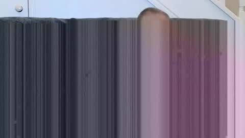 jeff online show from November 15, 1:07 pm