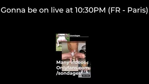 Sondages online show from March 14, 9:31 pm