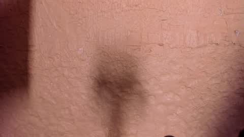 sophi_cooper29 online show from December 22, 11:46 pm