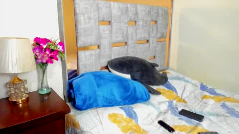 sophia CM online show from December 2, 2:17 am