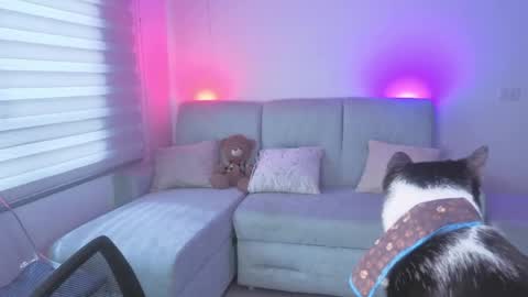 Snapshot of sophie_bbs chatting on May 25, 3:18 pm Sophie online show from May 25, 3:18 pm