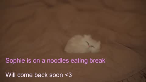 Sophie  Next stream  3 online show from February 6, 7:40 pm