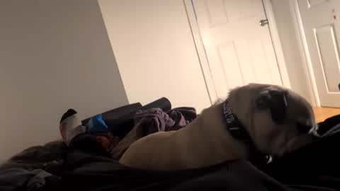 souls6207 online show from March 15, 8:31 am