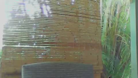 Snapshot of soveryhandsome chatting on January 9, 5:34 am soveryhandsome online show from January 9, 5:34 am