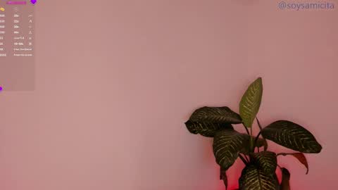 Sami Diaz   online show from December 17, 8:34 am