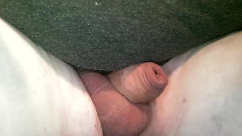 splitter60 online show from December 5, 12:47 pm