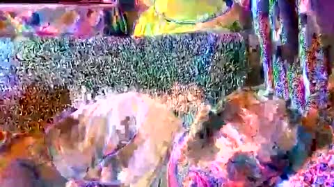 Snapshot of srekos38 chatting on April 11, 8:40 am srekos38 online show from April 11, 8:40 am