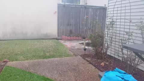 srtxshow online show from February 5, 3:20 pm