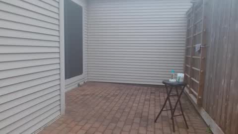 srtxshow online show from March 3, 11:24 pm