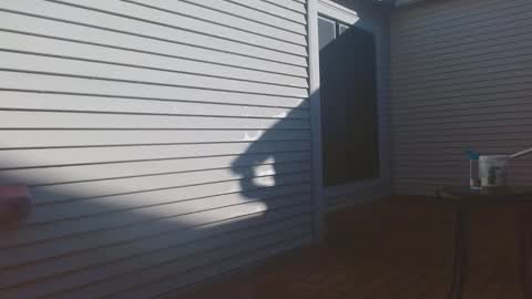 srtxshow online show from February 9, 3:16 pm