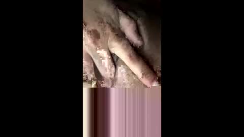 staceyrey online show from March 15, 7:25 am