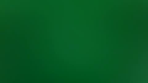 stacysquirtle online show from February 4, 12:00 pm