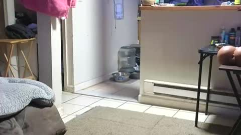 Submissive Slut LOVES adoration online show from October 23, 4:23 am