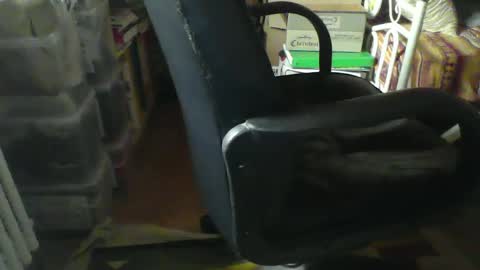 Snapshot of stalloneumbro chatting on January 21, 8:52 am CIPPALIPPA online show from January 21, 8:52 am