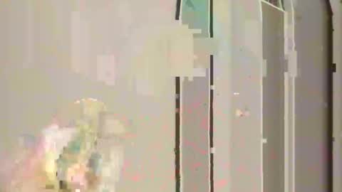 steedmont online show from November 30, 11:31 pm