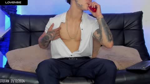 Snapshot of stefan_wonder_ chatting on December 21, 8:32 pm Wonder online show from December 21, 8:32 pm