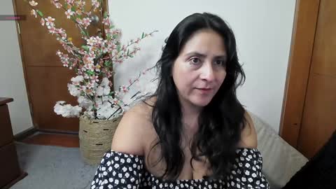 Stafania 3 online show from January 4, 11:22 am