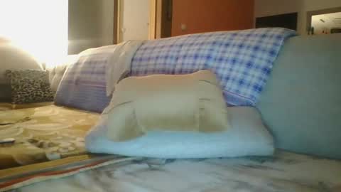 Snapshot of steki038434 chatting on January 12, 2:03 am steki038434 online show from January 12, 2:03 am