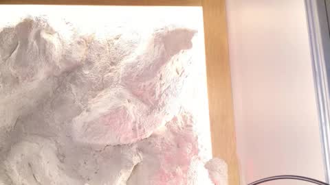 S T E L L A online show from February 28, 11:06 pm