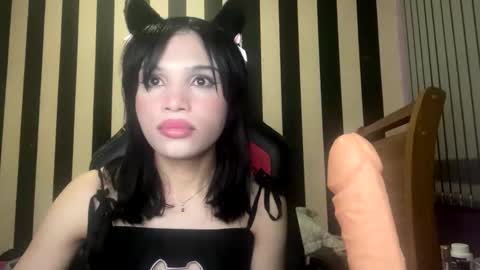 Snapshot of stellapapillon chatting on February 10, 11:31 pm stellapapillon online show from February 10, 11:31 pm