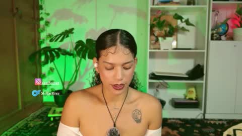 Snapshot of stellart_ chatting on November 19, 12:43 am stellart_ online show from November 19, 12:43 am