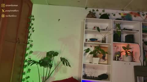 stellart_ online show from December 3, 1:57 am