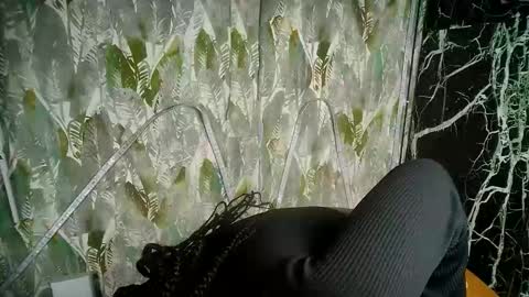 Snapshot of stelpa chatting on April 8, 10:26 am stelpa online show from April 8, 10:26 am