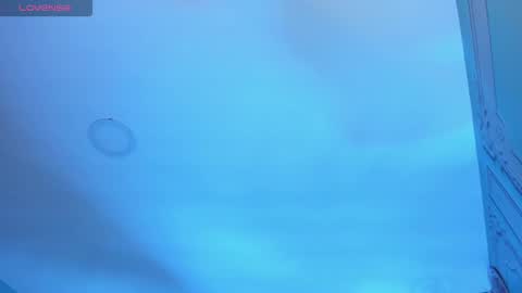         online show from November 7, 3:17 am