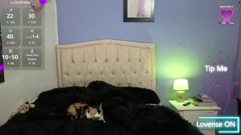 Snapshot of stephania_t chatting on June 11, 2:11 am Stephania online show from June 11, 2:11 am