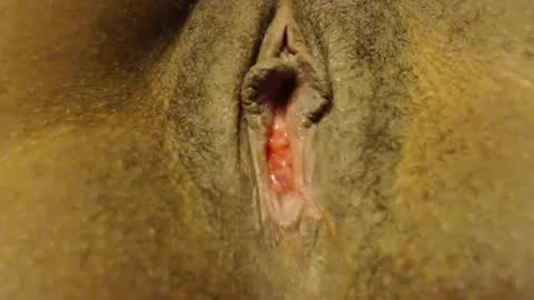 cate ma belle online show from October 7, 7:00 pm