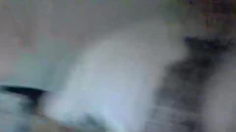 stevedoer1 online show from May 2, 10:26 pm