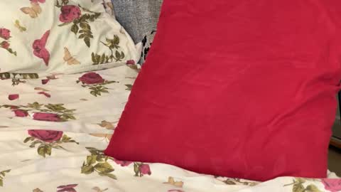 Snapshot of stick_twix chatting on October 14, 8:37 am Chris online show from October 14, 8:37 am