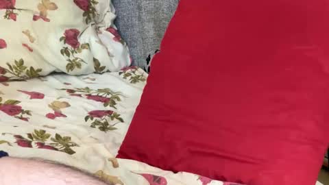 Snapshot of stick_twix chatting on October 21, 11:22 am Chris online show from October 21, 11:22 am