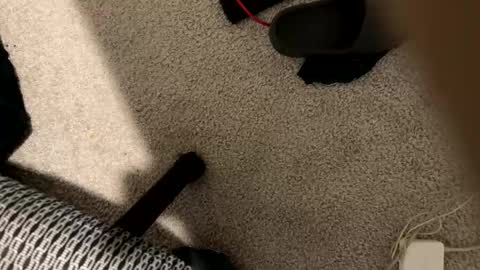 Snapshot of stilettodoll chatting on December 18, 10:32 am StilettoDoll online show from December 18, 10:32 am