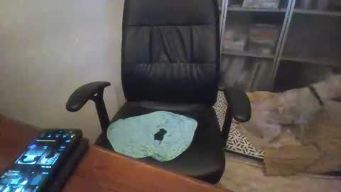 rainy online show from December 14, 1:11 am