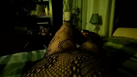 Snapshot of stockinggeek chatting on December 5, 7:06 am StockingGeek online show from December 5, 7:06 am