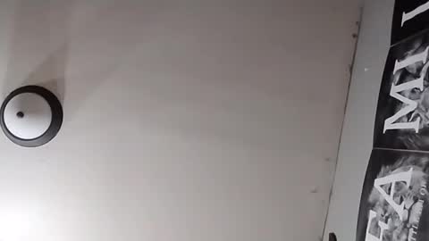 Oval2022 online show from March 26, 12:11 pm