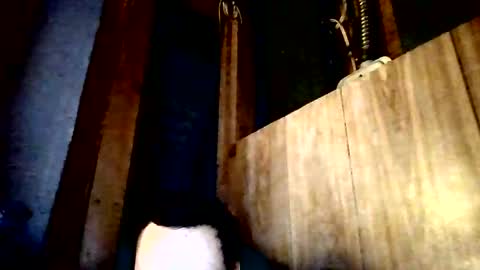 stonedstallion2019 online show from April 2, 7:33 pm