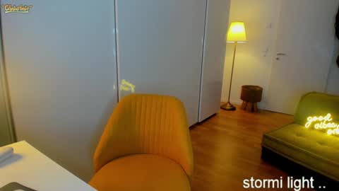 Snapshot of stormi_light chatting on January 12, 12:28 am Stormi online show from January 12, 12:28 am
