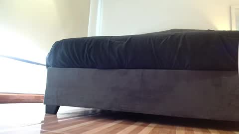 stormy  carter online show from November 4, 12:15 pm