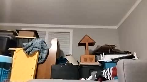 Streetwyze online show from October 23, 8:46 am